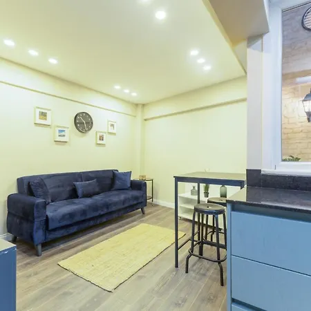 Fully Furnished Centrally Located Flat In Sisli